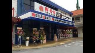 白蓮会館　WKO世界組手連盟JAPAN　完成