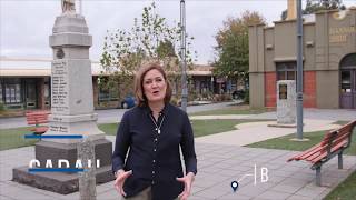 Sarah Henderson delivering for Bannockburn