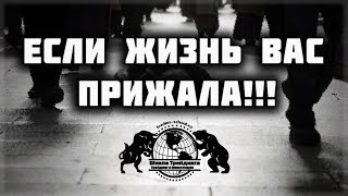 Если жизнь вас прижала!!!