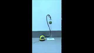 Сила всасывания пылесоса Karcher VC 6