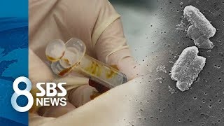 "숨진 신생아 모두 같은 영양주사에…" 손 위생 주목 / SBS