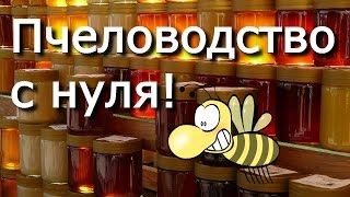Пчеловодство с нуля / Своя пасека // Жизнь в деревне