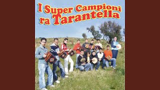 Tarantella furiusa