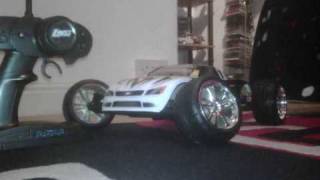 Losi Speed T