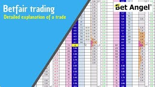 Betfair trading explained in depth | Horse racing trading on Bet Angel | Peter Webb