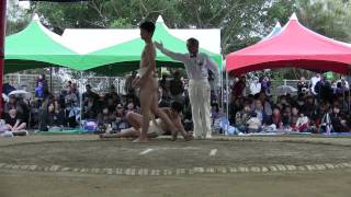 種子島のイベント：第48回種子島相撲大会団体戦ダイジェスト