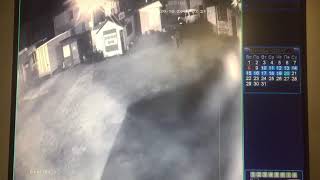 Сегодня утром на рынок в Елизовском районе Камчатки забрел медведь