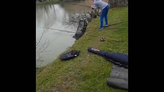 Pecanje šarana Method Feeder tehnikom