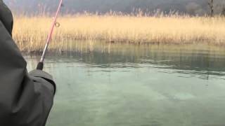 Rattlin Minnow Spoon Rapala