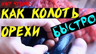 Как очистить орех мгновенно без орехокола. Как колоть фундук или грецкий орех.