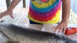 How To Catch, Clean, & Prepare Alligator Gar : River Monsters