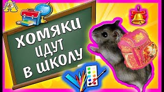 ХОМО-ШКОЛА без игрушек все серии подряд | Сказка про Куки и Funny | Хомки | Alisa Easy Pets