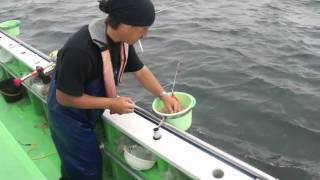 今日も海釣〜!! vol.1 東京湾ワラサ