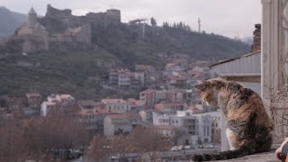 Новый год в Тбилиси часть 1