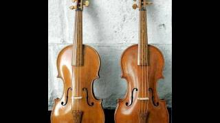 (2) J.S. Bach - Double Violin Concerto in d minor, BWV 1043 (Andrew Manze & Rachel Podger)