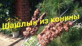 Шашлык из Конины  (Рецепт бомба)