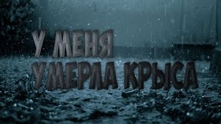 У меня умерла крыса(((
