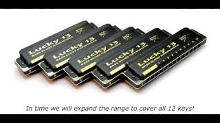 The LUCKY 13 (Bass Blues Harmonica): Two Harps in One!