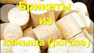 Как делать брикеты из камыша (рогоза) - домашний бизнес и тепло в доме
