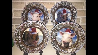 DIY. Декор тарелки к новому году с помощью шпаклёвки, сухоцветов и макарон.
