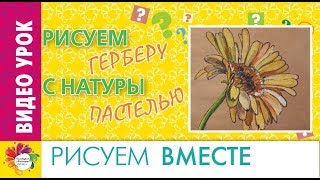 Как нарисовать ГЕРБЕРУ. Рисуем пастелью.  Видеоурок для начинающих художников.