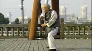 Shaolin „Tiger and Crane Double Form Set" (Fu Hok Seung Ying  虎鶴雙形)