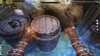 The Elder Scrolls V : Skyrim (Сборка Evolution 2.0.1) Мамонтова крепость #37
