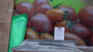 КАК Я СОБИРАЛА СВОЮ "ЧУДО - ТЕПЛИЦУ". Ольга Чернова.