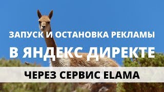 Запуск рекламы Яндекс Директ. Включить рекламу в Elama