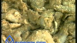 07ธุรกิจการทำปลาร้าขาย ตอนที่ 1