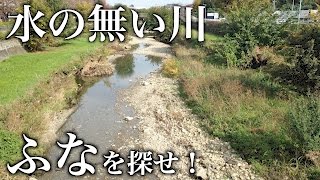 水の無い川でフナを釣りたい 魚のいないドブ川なのか！？