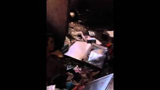 Hoarding Cleanup Franchise Opportunity