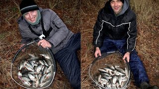 Ловля на Фидер поздней осенью. Рыбалка в Беларуси 2019. Плотва.
