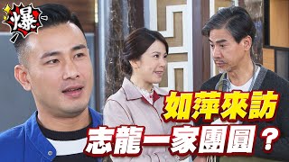 《多情大爆爆》多情城市 EP166 如萍來訪 志龍一家團圓？