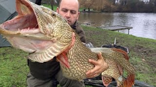 MONSTER FISHING Truth NATIONAL GEOGRAPHIC WILD DOCUMENTARY 2016