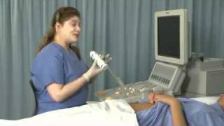 Ultrasound Training  of the Female Reproductive Organs