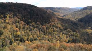 Fiery Gizzard Trail 2013
