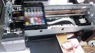 Epson P50 каретка бьется об правую стенку