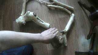 Новые коряги для аквариума