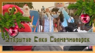 Открытие Елки в Солнечногорске
