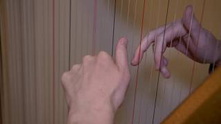 Mozart Flute and Harp concerto cadenza section - Slow Motion Monday ep. 40