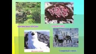 География Евразии