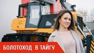 Бульдозер Б10 болотоход для вскрышных работ и последующей культивации почвы!