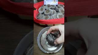 Укорінення листочків фіалок у торфяних таблетках Jiffy