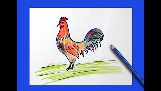 How to Draw Cock ✅ Roster Drawing step by step easy