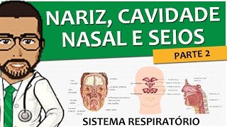 Sistema Respiratório 03 - Nariz, cavidade nasal e seios paranasais (Anatomia e Histologia) P2