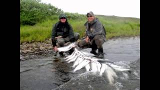 Fish Alaska Hot Silver Salmon