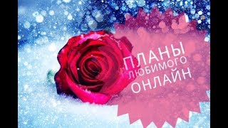 ПЛАНЫ ЛЮБИМОГО онлайн гадание на картах таро для всех