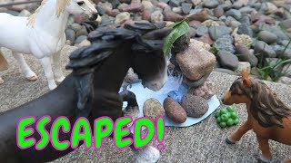 ?NEW SCHLEICH HORSE ORIGINAL SERIES!?WILD WONDER ~"ESCAPED" PART 1?FIRST DAY TV