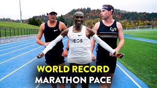 Running the Kipchoge Challenge (World Record Marathon Pace with Zach Levet!)